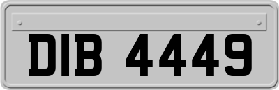 DIB4449