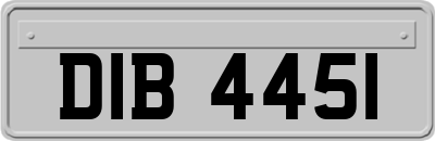DIB4451