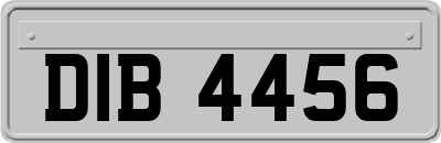 DIB4456