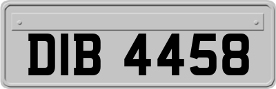 DIB4458