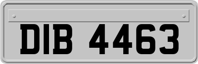 DIB4463