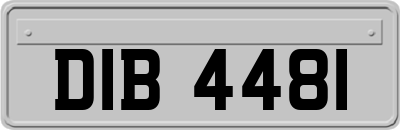 DIB4481