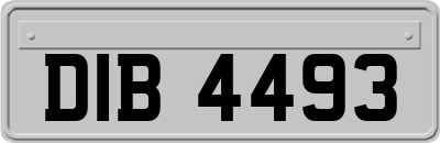 DIB4493