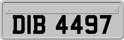 DIB4497