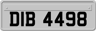 DIB4498