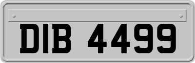 DIB4499