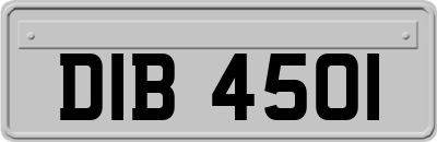 DIB4501