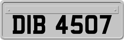 DIB4507