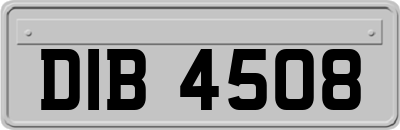 DIB4508