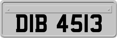 DIB4513