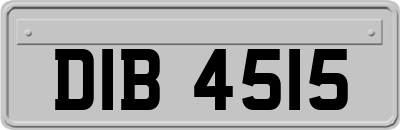 DIB4515