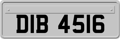 DIB4516