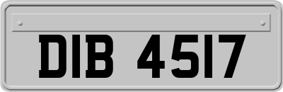 DIB4517