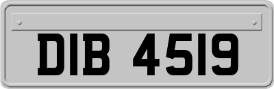 DIB4519