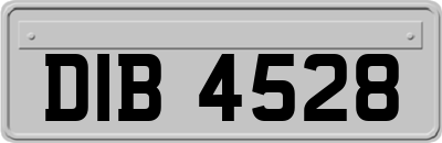 DIB4528