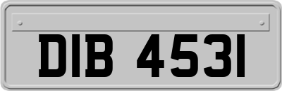 DIB4531