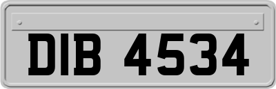 DIB4534