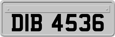 DIB4536