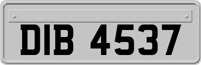 DIB4537