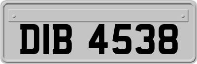 DIB4538