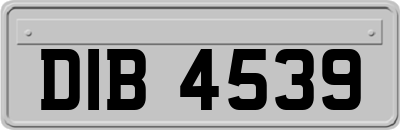 DIB4539