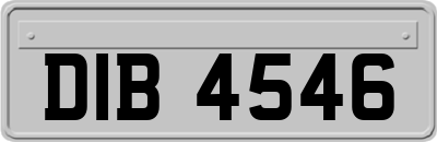 DIB4546