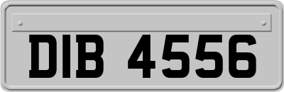 DIB4556