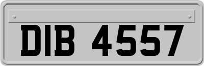 DIB4557