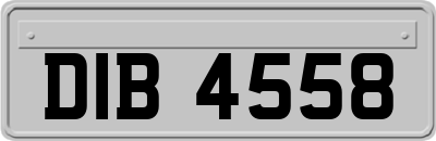 DIB4558