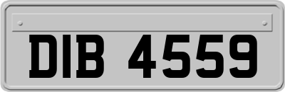 DIB4559