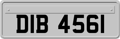 DIB4561