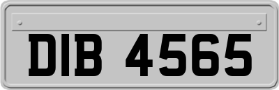 DIB4565
