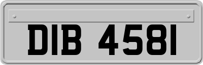 DIB4581