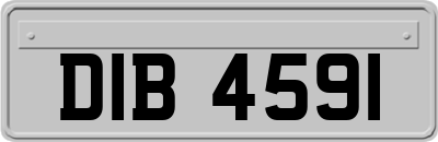 DIB4591