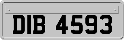 DIB4593