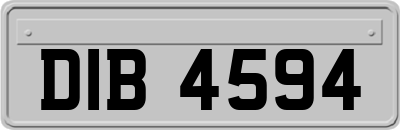 DIB4594