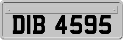 DIB4595