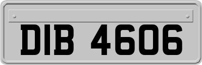 DIB4606