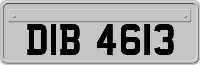 DIB4613