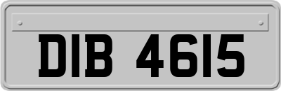 DIB4615
