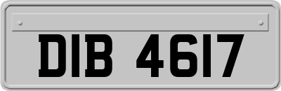 DIB4617