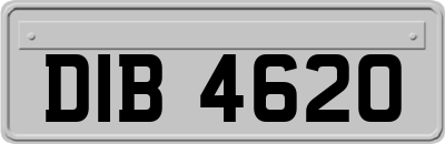 DIB4620