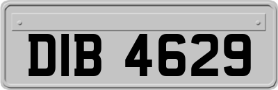 DIB4629