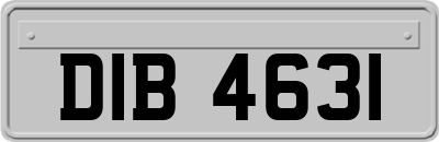 DIB4631