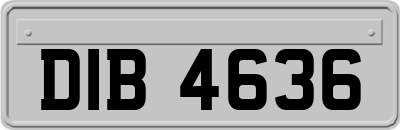 DIB4636