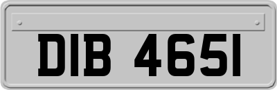 DIB4651