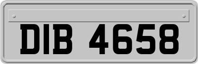 DIB4658