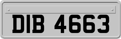 DIB4663