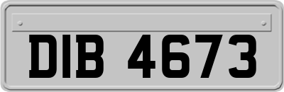 DIB4673
