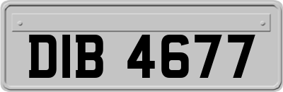 DIB4677